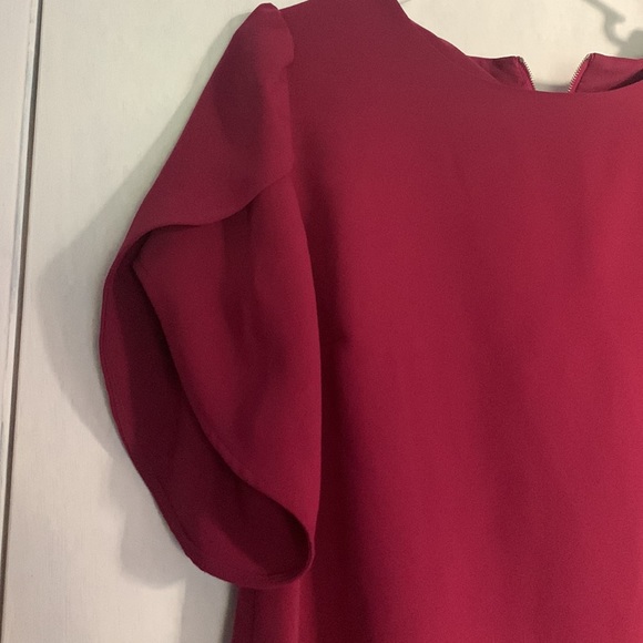 Beautiful zip back dress - Picture 3 of 5